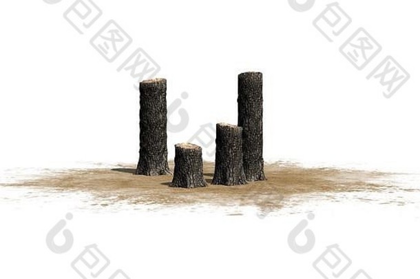 树树桩沙子区域孤立的白色背景
