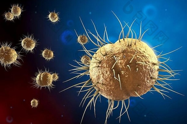 奈瑟氏菌属了解淋病细菌负责任的淋病疾病插图