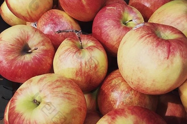 有机jonagold苹果出售生产过道杂货店商店曼联州