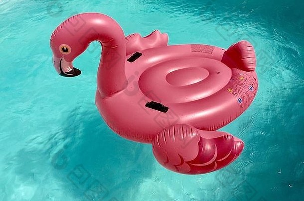 游泳池浮动天鹅粉红色的池