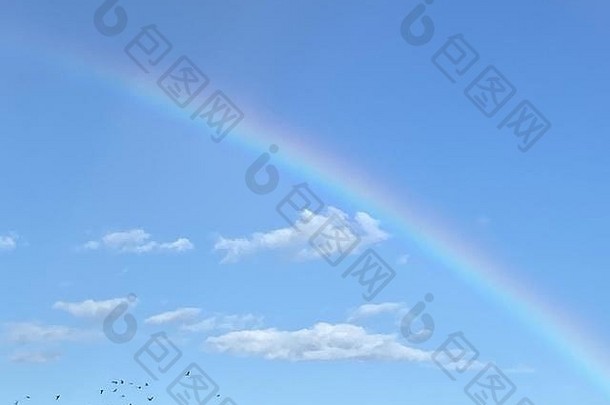 彩虹天空云飞行鸟泰比岛乔治亚州