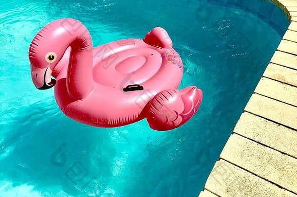 游泳池浮动天鹅粉红色的池