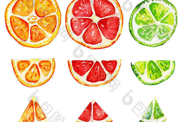 孤立的片橙色葡萄柚石灰热带让人耳目一新异国情调的夏天概念水彩插图