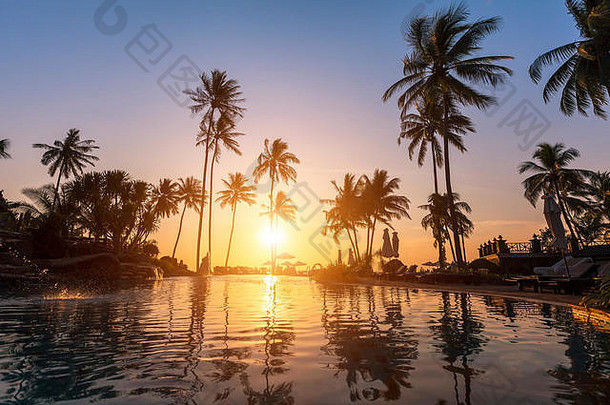 奢侈品海滩酒店轮廓棕榈树游泳池美丽的日落