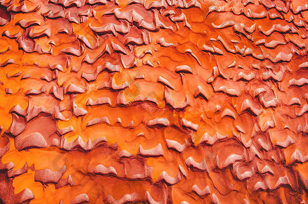 明亮的彩色的模式纹理红色的沙子海滩王子爱德华。岛加拿大时尚的珊瑚橙色彩色的摘要自然背景平