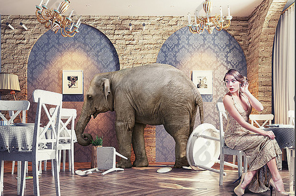 大象平静餐厅室内照片结合概念