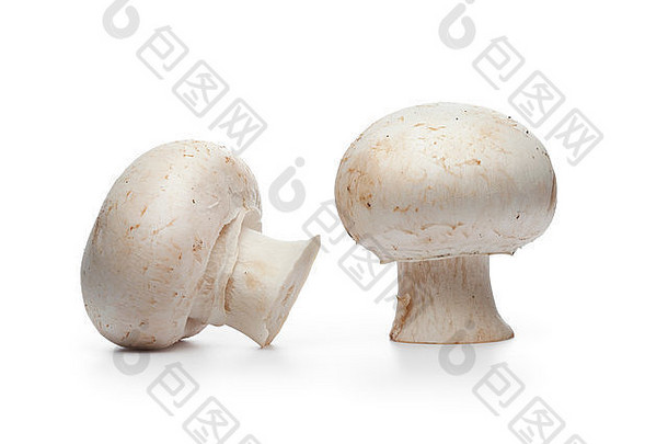 新鲜的生按钮蘑菇香榭丽舍白色背景