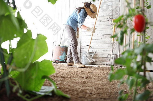女人蔬菜花园耙木墙工具健康的有机食物生产概念