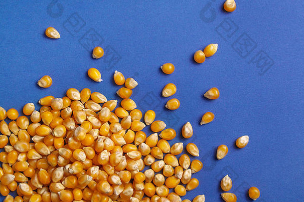 玉米粮食爆米花蓝色的背景特写镜头前