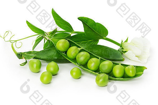 绿色豌豆壳牌孤立的白色背景