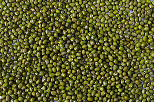 绿豆豆子孤立的白色背景蒙豆绿色克绿色豆Legume家庭物种