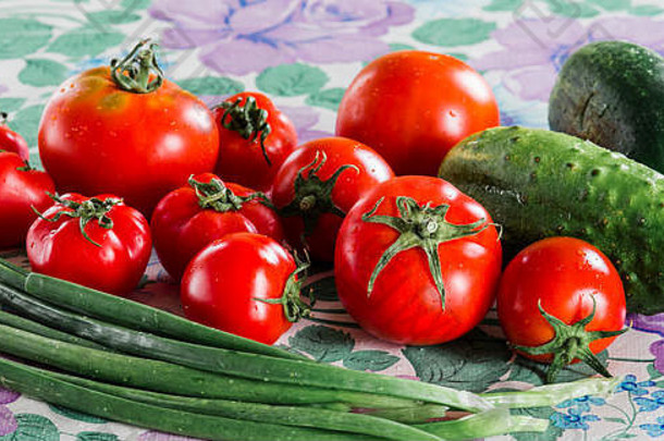 蔬菜作文新鲜的沙拉黄瓜西红柿绿色洋葱桌布