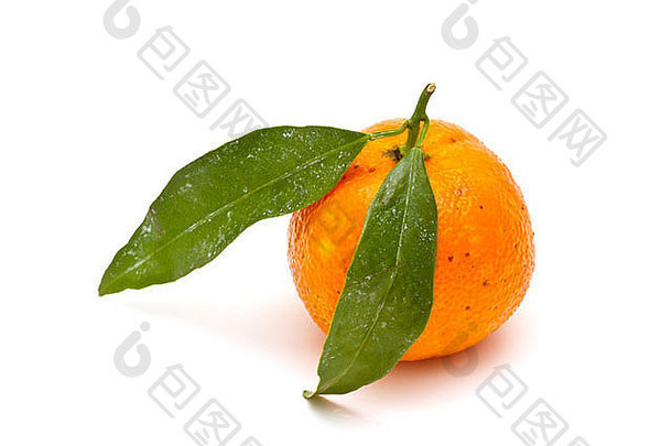 成熟的橘子白色背景