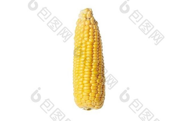 新鲜的生玉米孤立的白色背景
