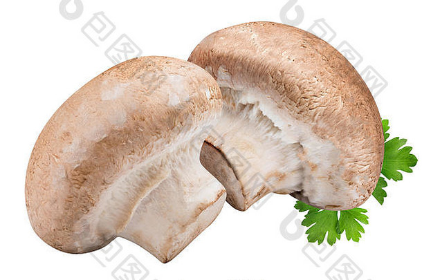 蘑菇孤立的白色背景剪裁路径