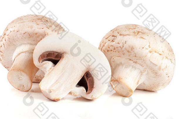 新鲜的食用香草蘑菇孤立的白色<strong>背景</strong>