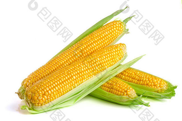 耳朵玉米孤立的白色背景