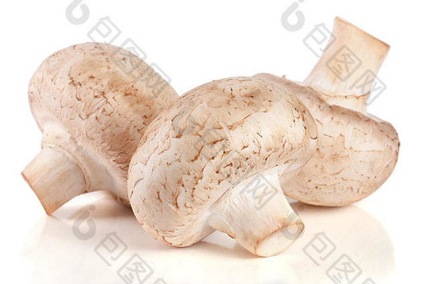 新鲜的香榭丽舍蘑菇孤立的白色背景