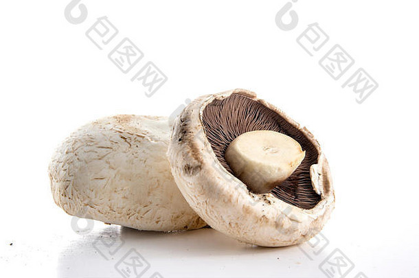 蘑菇白色背景