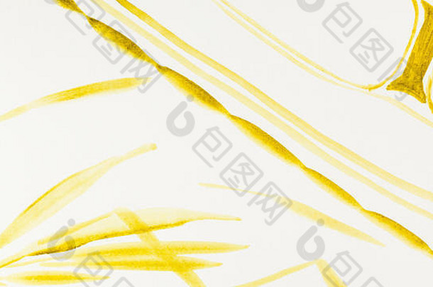 手绘画澄江风格奶油纸草图里德植物画黄色的水彩画