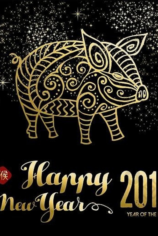 中国人一年问候卡黄金烟花晚上天空金猪插图包括传统的书法意味着猪