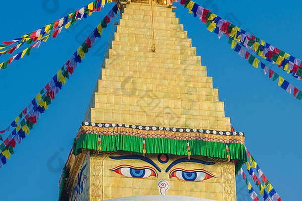 佛教祈祷旗帜黄金尖塔菩提树佛塔加德满都尼泊尔