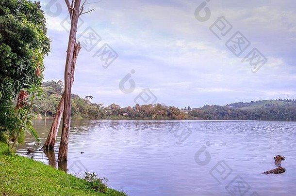 日出视图湖新阿比克树日益增长的反射水rweteera堡门户网站乌干达非洲