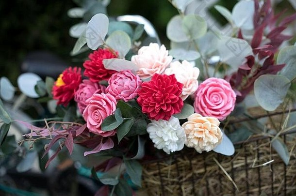 花束明亮的色彩鲜艳的颜色使肥皂篮子古董自行车夏天花园