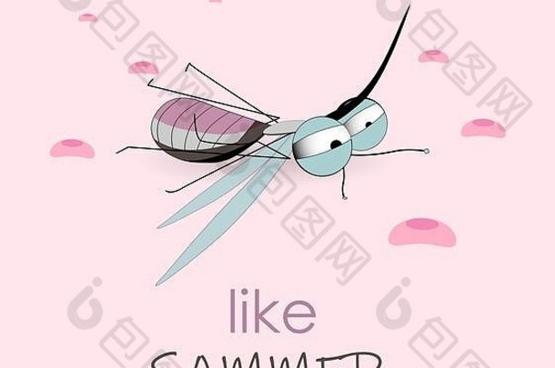 夏天蚊子喝了血谎言昆虫害虫蚊子咬危险疾病传输