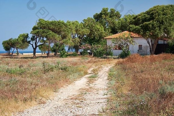 视图路国家房子红色的屋顶树地中海亚热带海岸帕福斯塞浦路斯