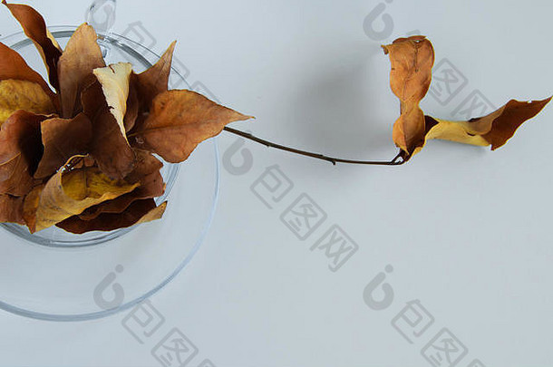 孤立的咖啡杯完整的金秋天叶子白色背景最小的秋冬季季节概念空间文本