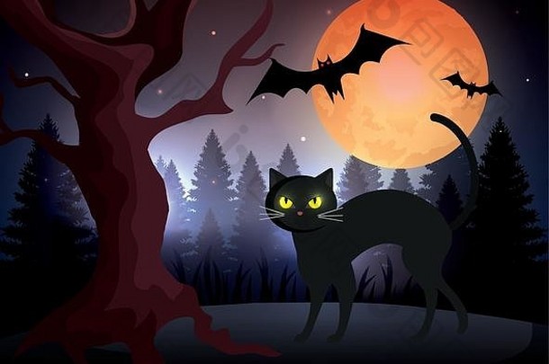 万圣节猫蝙蝠飞行月亮黑暗晚上