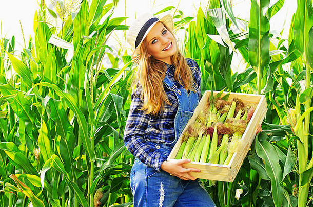 大收获肖像年轻的有吸引力的微笑女孩他工作服持有盒子玉米站玉米场