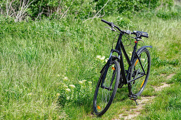 自行车停灌木自然国家路