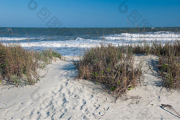 沙子水愚蠢海滩南卡罗莱纳美国