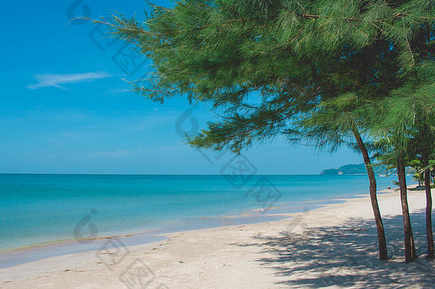 绿色松树沙子海滩美丽的海景视图蓝色的天空背景潮老挝海滩尖竹汶府省泰国
