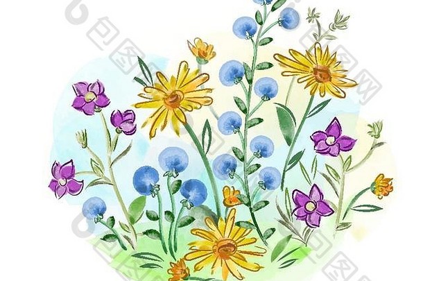 水彩花紫罗兰堇型花叶子草地