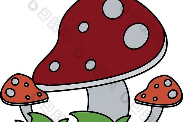 野生蘑菇图标图像