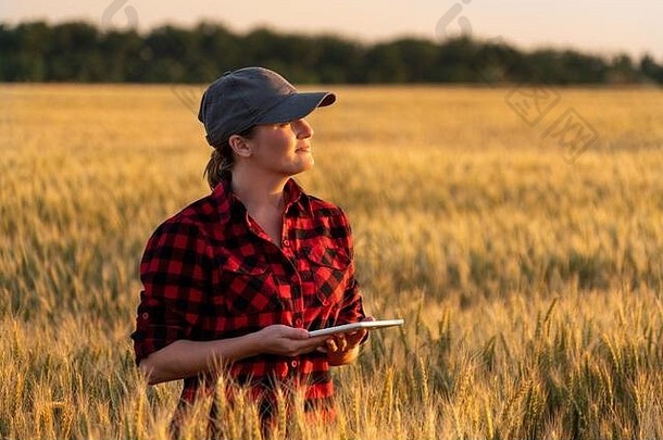 女人农民检查场谷物发送数据云平板电脑聪明的农业数字农业