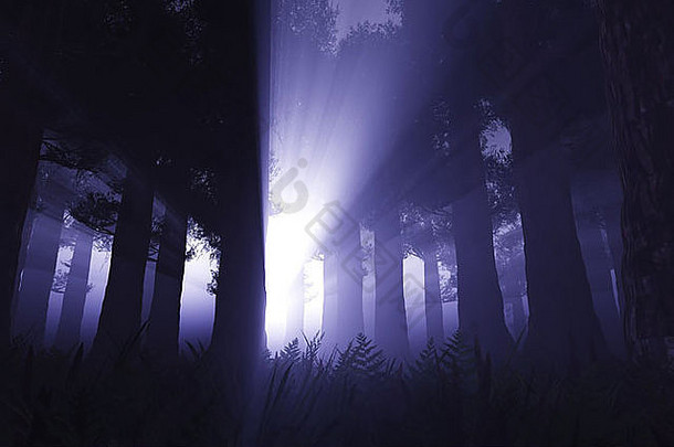 超自然的场景黑暗深森林渲染