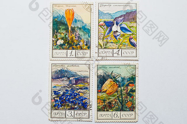 乌日哥罗德乌克兰约集合邮资邮票印刷苏联显示山植物花系列圆形的