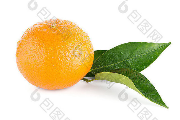 成熟的橘子普通话孤立的白色背景