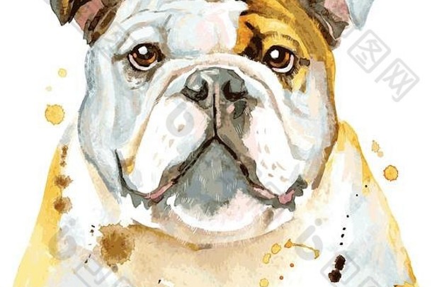 可爱的狗狗t恤图形水彩狗插图