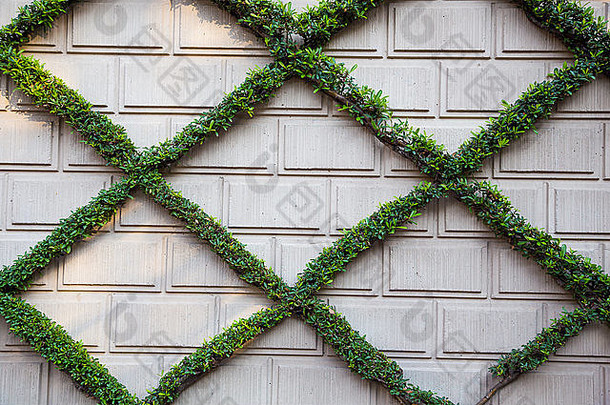 砖植物生命创建模式生活墙加州