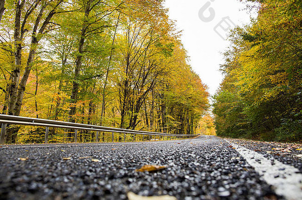 旅行搭便车环境保护概念长悠闲吃高树隐藏了光天空长路运行秋天木