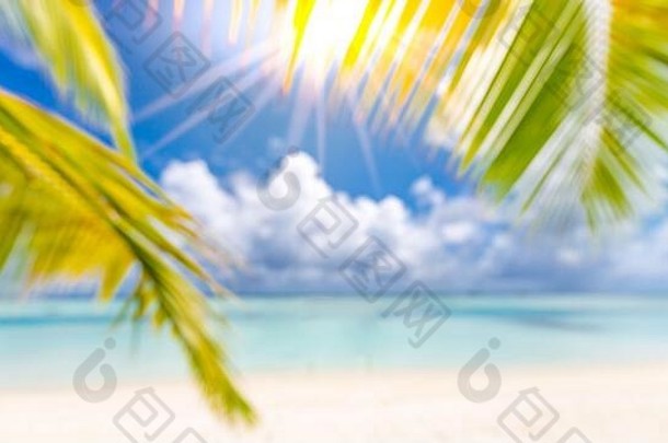 夏天热带海闪闪发光的波蓝色的阳光明媚的天空美妙的惊人的夏天风景海滩景观令人惊异的模糊视图