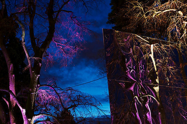 月12月树收到发光的饰品创建艺术家日内瓦瑞士