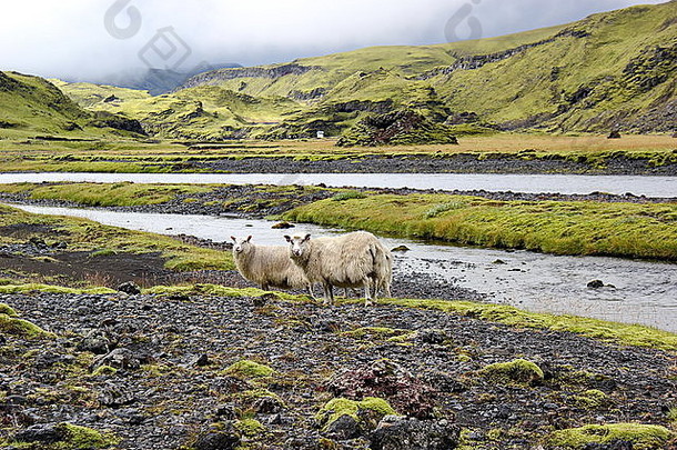 羊熔岩场火热冰岛