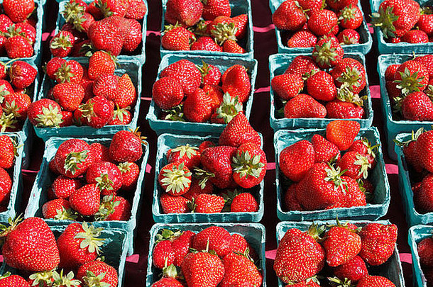 表格完整的品脱红色的<strong>草莓</strong>太阳出售市场蓝色的容器填满阳光明媚的红色的<strong>草莓</strong>出售