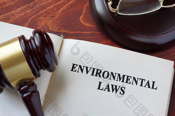 环境法律标题书槌子